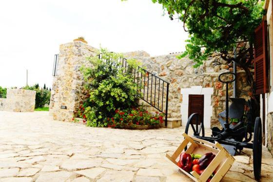 Holiday Home Finca Son Ramon Льюби Экстерьер фото